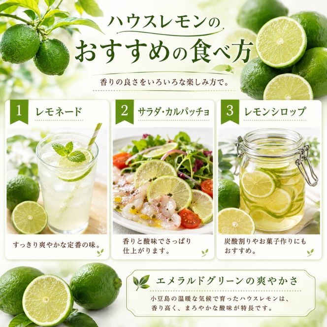 【 小豆島 】小豆島ハウスレモン 約2kg 果物類 フルーツ 柑橘類 檸檬 