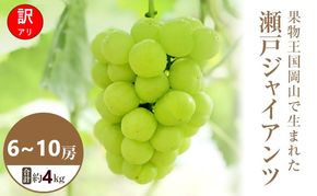 【2026年 先行予約】【訳あり品】 瀬戸ジャイアンツ 6～10房 合計約4kg 常温配送 ぶどう 葡萄 フルーツ 果物 岡山 高梁市