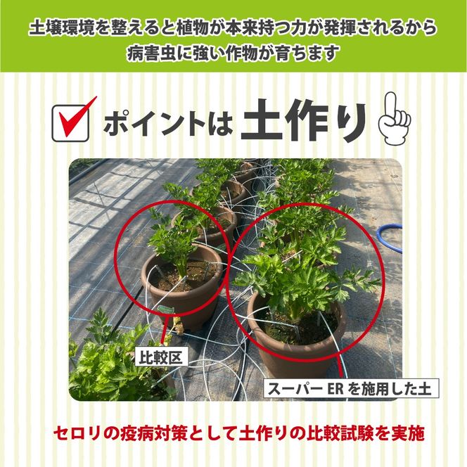 土壌改良材 スーパーER 富士のしずく ( 3L ) ガーデニング 園芸 畑 農業 家庭菜園 土作り 静岡県 藤枝市