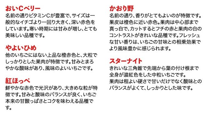 【 先行予約 2025年1月中旬以降発送 】 数量限定 農家直送 ♪ 八千代町産 いちご ボリュームパック （ 4パック 計約 1400g ） 人気 の 詰め合わせ セット イチゴ 苺 季節限定 茨城県 フルーツ 果物 食べ比べ セット スムージー ケーキ [AJ002ya]