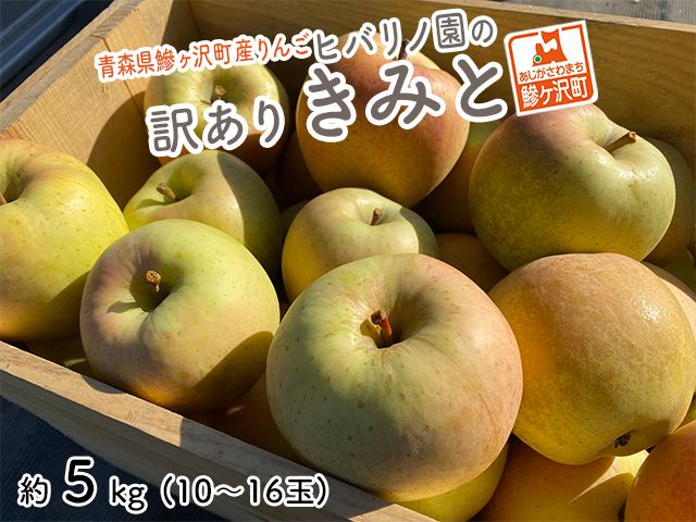 りんご 訳あり 青森 きみと リンゴ 約 5kg （10～16玉） 青森県 鰺ヶ沢町産 ヒバリノ園 フルーツ 果物 林檎 青森県産 ※オンライン決済のみ 