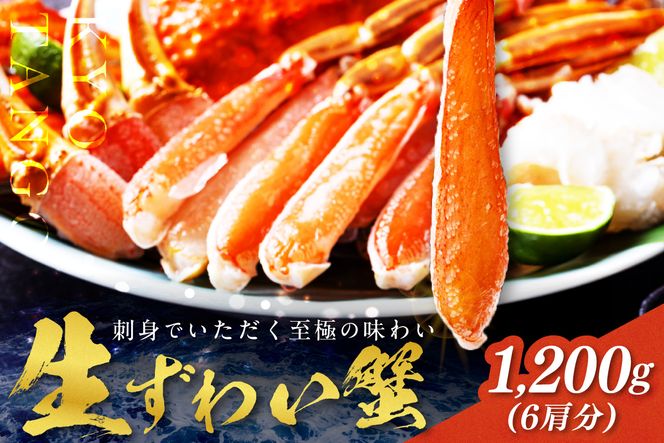 鮮度抜群！お刺身でも食べられる！カット生ズワイガニ 6肩分　 YK00420