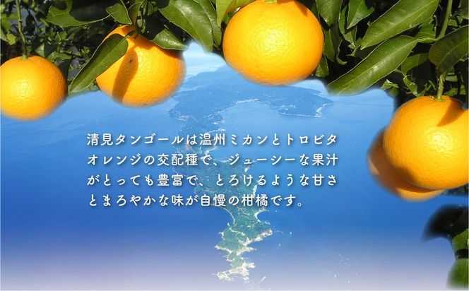 【先行予約】清見タンゴールジュース （720ml×3本）※離島への配送不可（2027年6月上旬より順次発送予定） IKTBD001
