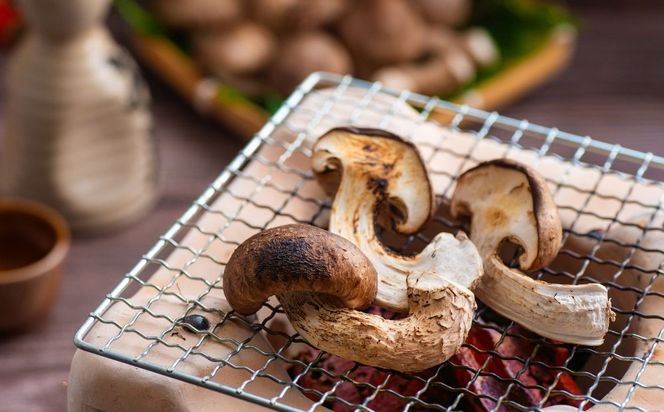 松太郎と松太郎ジャーキー詰め合わせ-[G147]