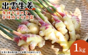 出雲生姜（青果） 322032_FW005