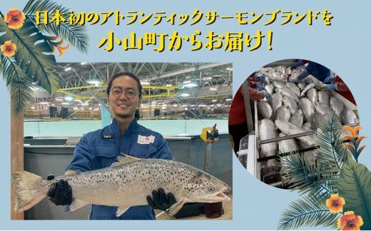 D8【日本初：完全陸上養殖】小山町産アトランティックサーモン（冷凍）ポキ丼（食べ比べセット70g×2パック×4つの味）