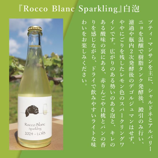 3種の2024ものハーフボトルセット～行方市内の自社畑ぶどう（2024年収穫）で醸造したワイン～｜ワイン  ボトルワイン 酒 お酒 酒類 赤ワイン スパークリングワイン ボトル ぶどう セット ワインセット 茨城県 行方市(GQ-8)