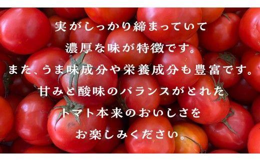 箱守果樹園 直送！ 「 王様トマト 」 1箱 4kg 野菜 トマト とまと [DE002ci]