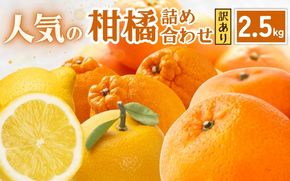 ＜1月より発送＞家庭用 柑橘詰合せ2.5kg+250g（傷み補償分）【訳あり・わけあり】【有田の春みかん詰め合わせ・フルーツ詰め合せ・オレンジつめあわせ】【光センサー選別】【ikd041C】