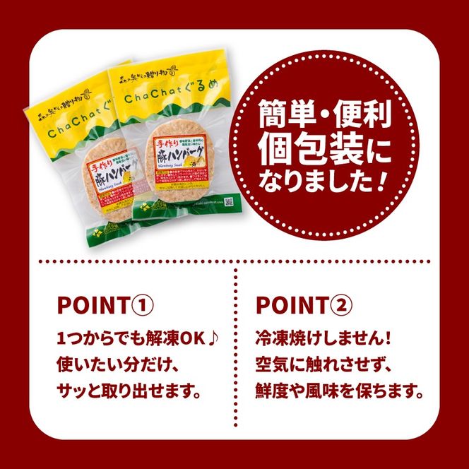 宮崎県産 ポークハンバーグ個包装(20個/冷凍)　K16_0164