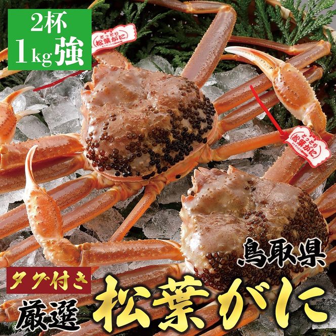 y挧khz755.yzy2025N11z tɁyuh^Otz 2ti1kg×2tj 313726_BS002VC01