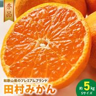 AB7309_ 【2026年先行予約】プレミアムブランド 田村みかん Sサイズ 秀品  約5kg _ 和歌山県産 小玉 小さい 蜜柑 ミカン フルーツ 果物 ギフト お歳暮 完熟