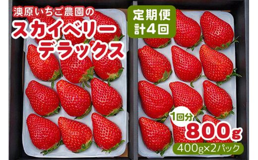 [定期便/4回] 澳原いちご農園のスカイベリーデラックス定期便 (毎月お届け 計4回)|いちご イチゴ 苺 スカイベリー フルーツ 果物 産地直送 栃木県産 期間限定 数量限定 先行予約 [0602]