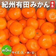 【先行予約】【秀品】有田みかん 約5kg（L・M・Sサイズ おまかせ）和歌山県産