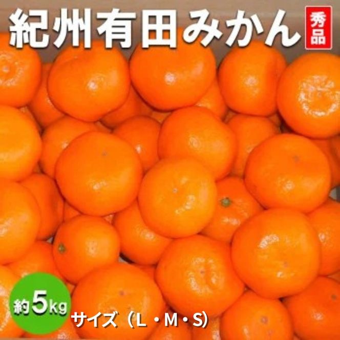【先行予約】【秀品】有田みかん 約5kg（L・M・Sサイズ おまかせ）和歌山県産