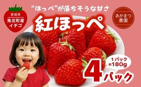 【2026年春収穫分】【先行予約】紅ほっぺ 4パック（約720g） | いちご イチゴ 苺 大福 ジャム タルト アイス ケーキ ギフト あかまつ農園 ※離島への配送不可 ※2026年2月中旬頃より順次発送予定