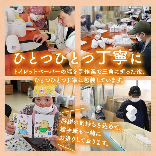 トイレットペーパー定期便「A」【障がい者支援の返礼品】 雑貨 日用品 生活支援 サポート 