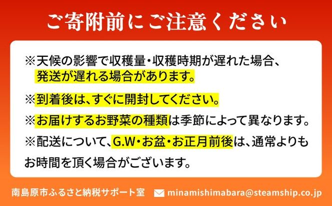 【12回定期便】野菜のプロが選ぶ 旬の野菜セット 12〜13品目 野菜定期便 / 野菜 やさい セット 新鮮 / 南島原市 / 愛2農園[SGG001]