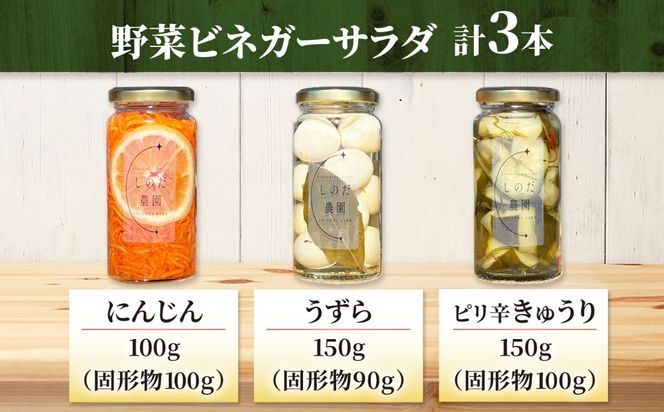 野菜ビネガーサラダ 3本（うずら・ピリ辛きゅうり・にんじん） ビネガーサラダ 常備菜 おかず 愛西市 / しのだ農園-SHINODA FARM-[AECE011]