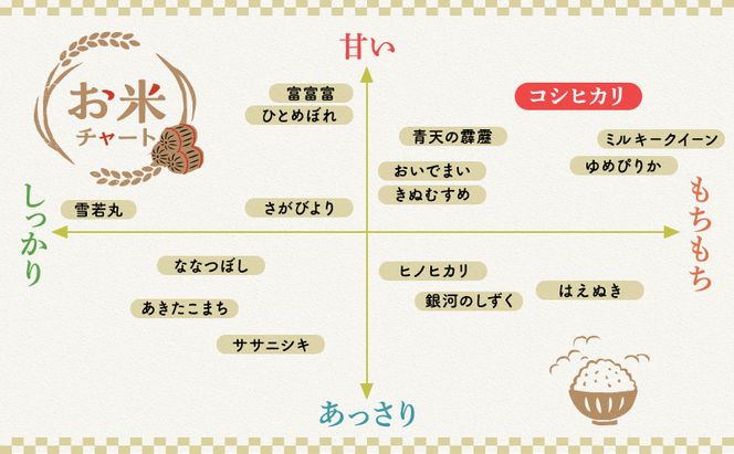 【令和5年福井県若狭町産】コシヒカリ（1等米）精米10kg お米ブランド米 白米 ご飯 おにぎり お弁当 和食 粘り もちもち 甘み 安心 安全