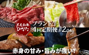 4回定期便 宮崎県産 ブランド牛「黒毛和牛ひなた」 K34_T002_1