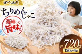 ちりめん 宮崎県産 無添加 ちりめんじゃこ 120g 6p 計720g [幸脇漁業生産組合 宮崎県 日向市 452061654] じゃこ 国産 しらす干し 小分け ジャコ 保存料不使用