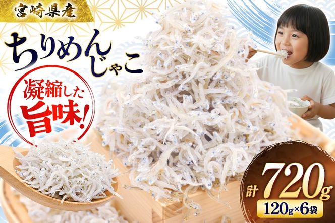 ちりめん 宮崎県産 無添加 ちりめんじゃこ 120g 6p 計720g [幸脇漁業生産組合 宮崎県 日向市 452061654] じゃこ 国産 しらす干し 小分け ジャコ 保存料不使用