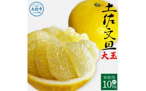 土佐文旦 家庭用 約10キロ（2L～4Lサイズ：16～21玉) 大玉 先行予約 数量限定 