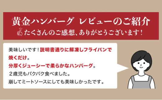老舗55年【佐賀牛入】黒毛和牛ハンバーグ がばいばーぐ 6個（140g×6個）【焼くだけ】