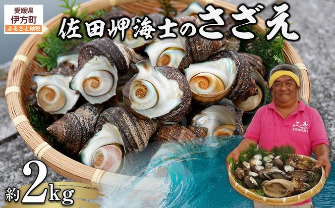 yQɕzyʌzcCm̂2kg kCEknEEւ̔zs IKTJ003