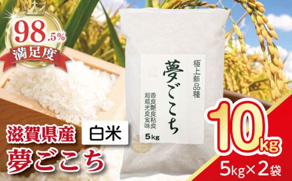 【7年産】近江米夢ごこち【5kg×2袋】【T035W3】