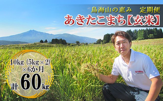 米 お米 【定期便】10kg×6ヶ月 鳥海山の恵み 農家直送！ あきたこまち（玄米・5kg×2袋） 6回 半年 サブスク