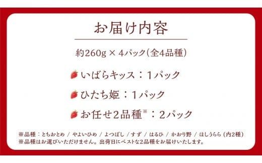 【 茨城いちごグランプリ 受賞 農園 】 完熟 いちご 4品種 食べ比べ セット イチゴ 苺 フルーツ 果物 果実 いばらキッス ひたち姫 とちおとめ やよいひめ よつぼし すず はるひ かおり野 ほしうらら [DY001ci]