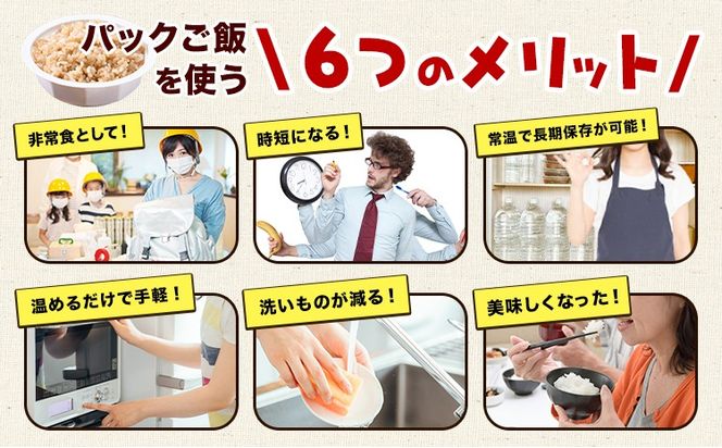 ぴかまる パックご飯 選べる 5個 10個 20個 パックごはん 米 パックライス 南阿蘇村産 一般社団法人南阿蘇村農業みらい公社《30日以内に出荷予定(土日祝を除く)》熊本県 南阿蘇村 送料無料 お米 米 ご飯 玄米 パック---sms_pikamaru_30d_24_9500_5p---