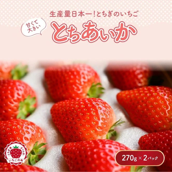 【先行予約】いちご とちあいかセット 270g×2パック（540g）｜いちご イチゴ 苺 先行予約 栃木県 果物 くだもの フルーツ とちあいか 新鮮 贈答 ギフト ※2027年1月～発送