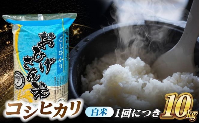 【3回定期便】コシヒカリ 白米 10kg×3か月 / 脇野コンバイン[AECP027]