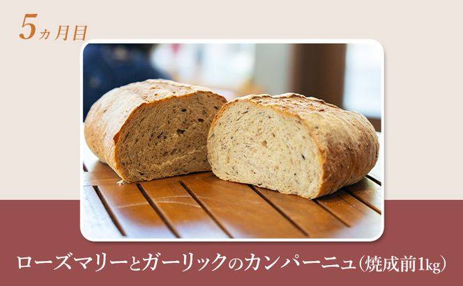 【 定期便 5ヵ月 】本場欧州のハード系パン 5種類 80%ライ麦パンと特製カンパーニュ 焼成前計4.9kg パン ライ麦パン カンパーニュ ハード系パン 冷凍