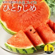 紀州 和歌山産 小玉スイカ 「ひとりじめ」  1玉 約1.8kg 