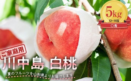FYN9-554 ご家庭用 山形県産 川中島 白桃 5kg (12～18玉) 2026年8月下旬から順次発送 硬め 柔らかくなる 有袋 もも モモ 桃 フルーツ くだもの 果物 夏果実 家庭用 自宅用 お取り寄せ 期間限定 産地直送 山形県 西川町 月山