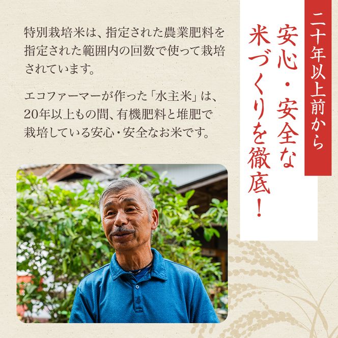 令和8年新米エコファーマー認定農家の地域ブランド米(水主米) 玄米10kg お米 コシヒカリ 香川県 香川 東かがわ市