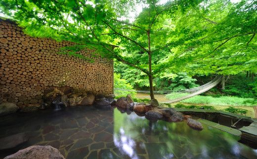 結びの宿 愛隣館ペア宿泊券（お部屋食プラン） 新鉛温泉 【188】