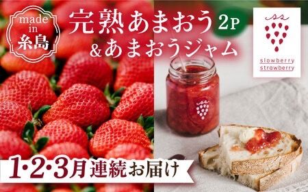 【先行受付】【全3回定期便】完熟 あまおう 270g × 2パック / あまおう ジャム 140g × 3本【2027年1月以降順次発送】   糸島市 / slowberry strawberry 苺 いちご [APJ005]