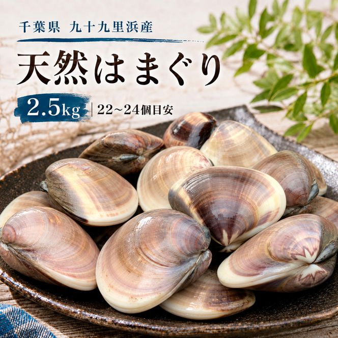 はまぐり 千葉 九十九里産 天然はまぐり 2.5kg 貝 海鮮 海産物 海の幸 魚介 魚介類 水産 水産物 はまぐり鍋 バーベキュー BBQ お吸い物 国産 天然 ハマグリ 蛤 絶品九十九里の”味” 産地直送 冷蔵 冷蔵配送 千葉県 九十九里 九十九里町