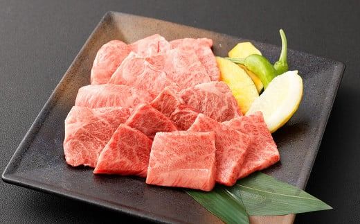 ＜≪肉質等級4等級以上≫宮崎牛ウデ・バラ焼肉セット（600g）＞入金確認後、翌月末までに順次出荷【c1426_tu】 宮崎牛 牛肉 肉 お肉 黒毛和牛 ブランド肉 ウデ バラ 赤身 新鮮 焼き肉 焼肉 冷凍 国産