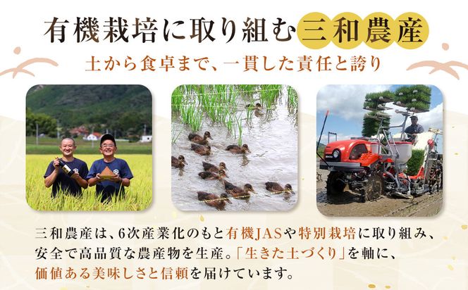 かむほどに口に広がる美味しさ　玄米おかき２種セット「いづも美人」 322032_CC001VC01