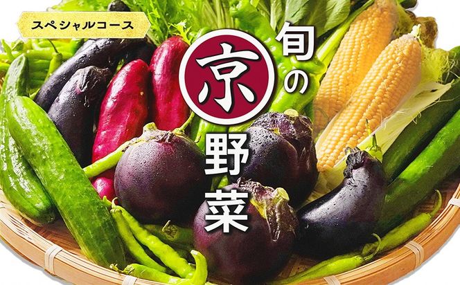 旬の京野菜 スペシャルコース≪京都 丹波 野菜 ふるさと納税野菜≫ ※沖縄・離島・諸島へのお届け不可