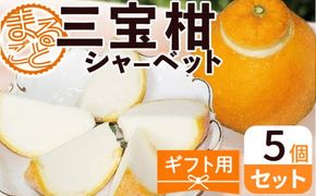 ZP6009_GFTn_【ギフト用】まるごと 三宝柑 シャーベット 5個 セット