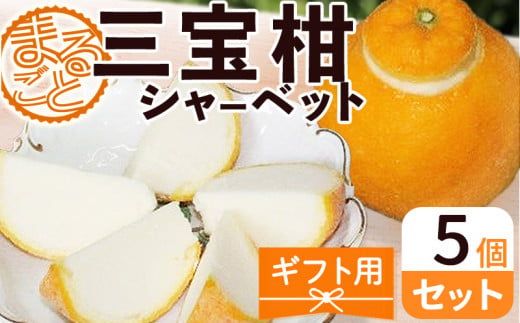 ZP6009_GFTn_【ギフト用】まるごと 三宝柑 シャーベット 5個 セット