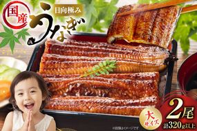 うなぎ 国産 日向極み うなぎ蒲焼 2尾 計320g以上 [日向サンパーク 宮崎県 日向市 452061713] ギフト 小分け 真空パック 鰻 ウナギ うなぎの蒲焼 蒲焼 蒲焼き