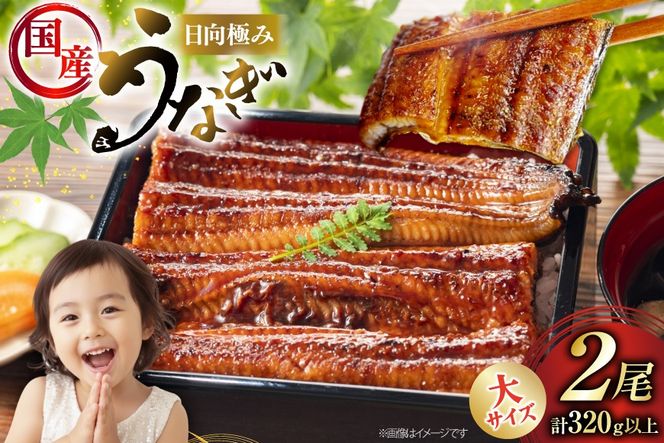 うなぎ 国産 日向極み うなぎ蒲焼 2尾 計320g以上 [日向サンパーク 宮崎県 日向市 452061713] ギフト 小分け 真空パック 鰻 ウナギ うなぎの蒲焼 蒲焼 蒲焼き